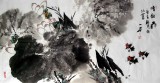 著名女畫家一方四尺寫意荷花《清韻》