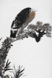 著名畫家呂正明三尺《松鷹圖》