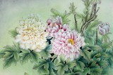 【已售】山東美協(xié)趙逸梅四尺斗方《國色天香》