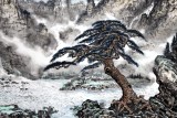 【已售】名家蒲家瑞四尺迎客松寫意山水《山河呈秀》