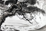 黃奇松四尺精品山水畫《松風流水天然調(diào)》