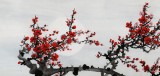 安徽美協何華賢三尺《梅花香自苦寒來》（詢價）