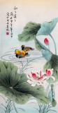 【已售】北京美協(xié)凌雪三尺荷花鴛鴦《和和美美》