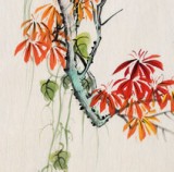 北京美協凌雪 三尺花鳥畫《秋葉承露》