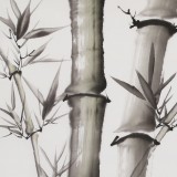 安徽美協(xié)何華賢 三尺《無竹令人俗》