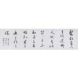 中國書協會員劉山紅 六尺對開《聚散虛空去復還》