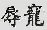 國家字庫雁翎體創始人 王永德 四尺《寵辱不驚》