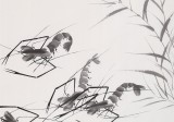 何華賢 三尺《戲水圖》 潁淮書畫名家