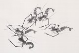 【已售】安徽美協何華賢 三尺《戲水圖》