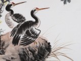 中國老子書畫院副院長 朱祖義四尺斗方《清秋幽禽》