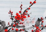 何華賢 三尺《報(bào)春圖》 潁淮書(shū)畫(huà)名家