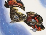 王永剛 三尺《力爭(zhēng)上游》 國(guó)家一級(jí)美術(shù)師（詢價(jià)）