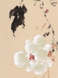 【已售】皇甫小喜 四條屏《牡丹枝頭春色好》 河南著名花鳥畫家