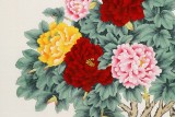 【已售】凌雪 四尺《花開富貴》 北京美協會員