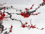 何華賢 三尺《傲骨迎寒》 潁淮書畫名家