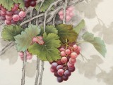 趙逸梅 四尺斗方《紫氣東來》 著名工筆畫家