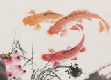 【已售】梁景欣 四尺斗方《連年有余》 青大美院學院派畫家
