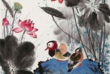 朱祖義 四尺荷花圖《荷陰棲嘉侶》 中國老子書畫院副院長