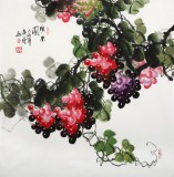 黃藝四尺斗方葡萄畫《碩果圖》