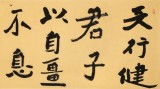 張?jiān)蕽h 六尺對(duì)開《天行健》 中書協(xié)會(huì)員 河南書法院創(chuàng)作部主任