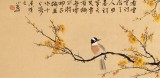 【已售】皇甫小喜 四尺對開《臘梅報春》 河南著名花鳥畫家