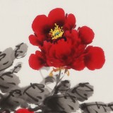  王偉寧 四尺斗方《富貴吉祥》 青年書畫才俊 河南美協(xié)會員
