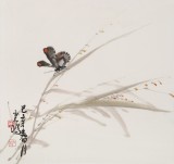黃云鴻 三尺斗方《彩蝶》