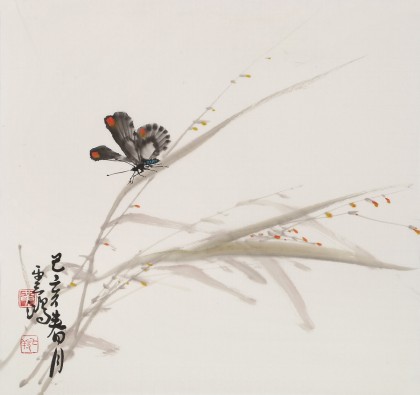 黃云鴻 三尺斗方《彩蝶》