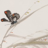 黃云鴻 三尺斗方《彩蝶》