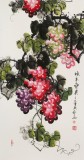 黃藝三尺風水吉利國畫《碩果累累》