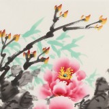 王偉寧《花開富貴》 青年書畫才俊 河南美協會員