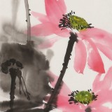 陳丹暉 《金池種碧蓮》 江蘇省美協(xié)會員 清華美院助教