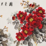 王偉寧四尺《國色天香》 青年書畫才俊 河南美協會員