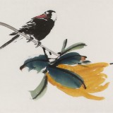 陳丹暉 《碩果累累》 江蘇省美協會員 清華美院助教