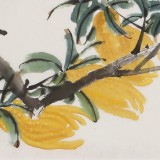 陳丹暉 《碩果累累》 江蘇省美協會員 清華美院助教