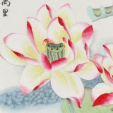 【已售】凌雪 四尺斗方《荷香萬里》 北京美協(xié)會員