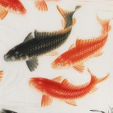 【已售】周升達(dá) 四尺《富貴久魚》 中國畫院國畫組長（詢價(jià)）