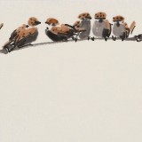 王永剛 三尺斗方《群雀圖》 78歲國(guó)家一級(jí)美術(shù)師 太行畫(huà)院院