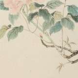 【已售】覃得住 工筆畫《葉有清風花帶露》 千竹書院成員 師從方嚴