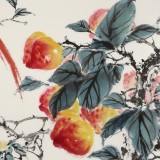 【已售】陳薪名 四尺斗方《多壽圖》中美協會員第六屆全國花鳥畫展金獎獲得者
