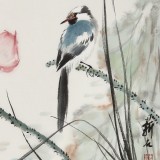 【已售】陳薪名《荷韻幽香》中美協會員 第六屆全國花鳥畫展金獎獲得者