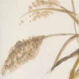 庾超然 四尺三開《蘆花深處》 黃鶴樓書畫院院長