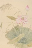 張瑰麗 四尺三開工筆《荷香》 湖南省美術家協會會員