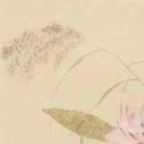 張瑰麗 四尺三開工筆《荷香》 湖南省美術家協會會員