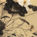 吳顯剛 小六尺《荷氣一塘》貴州七星關美協主席