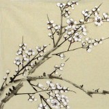 王向陽 四尺斗方《寒徹梅花香》 中國美術家協會會員